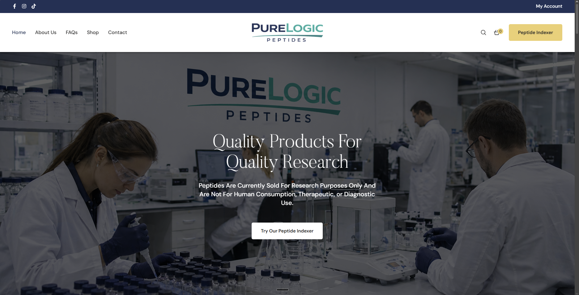 The homepage of the $3,500 website they paid for elsewhere