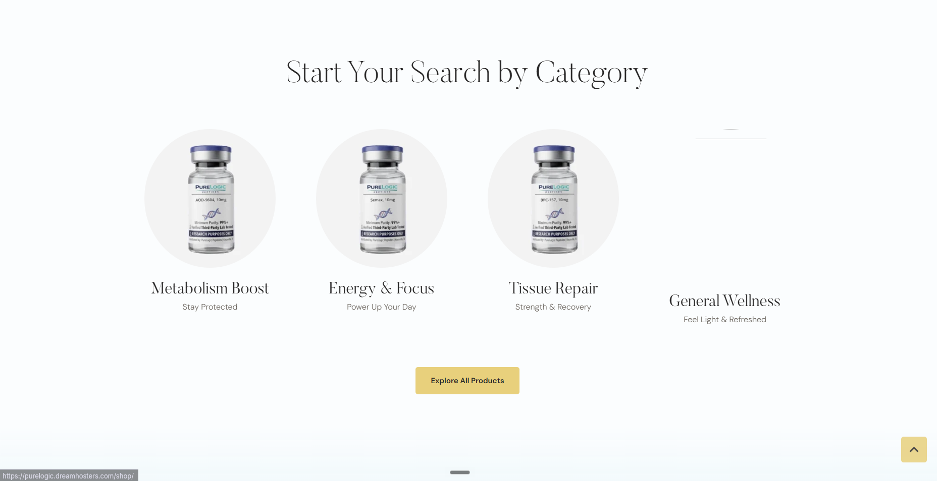 The product catalog on the old $3,500 website